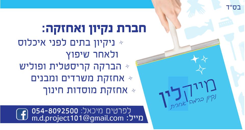 Read more about the article מייקלין