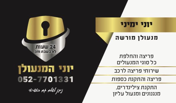 Read more about the article יוני המנעולן
