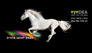 סוס לבן פרסום - עפרה ברלב
