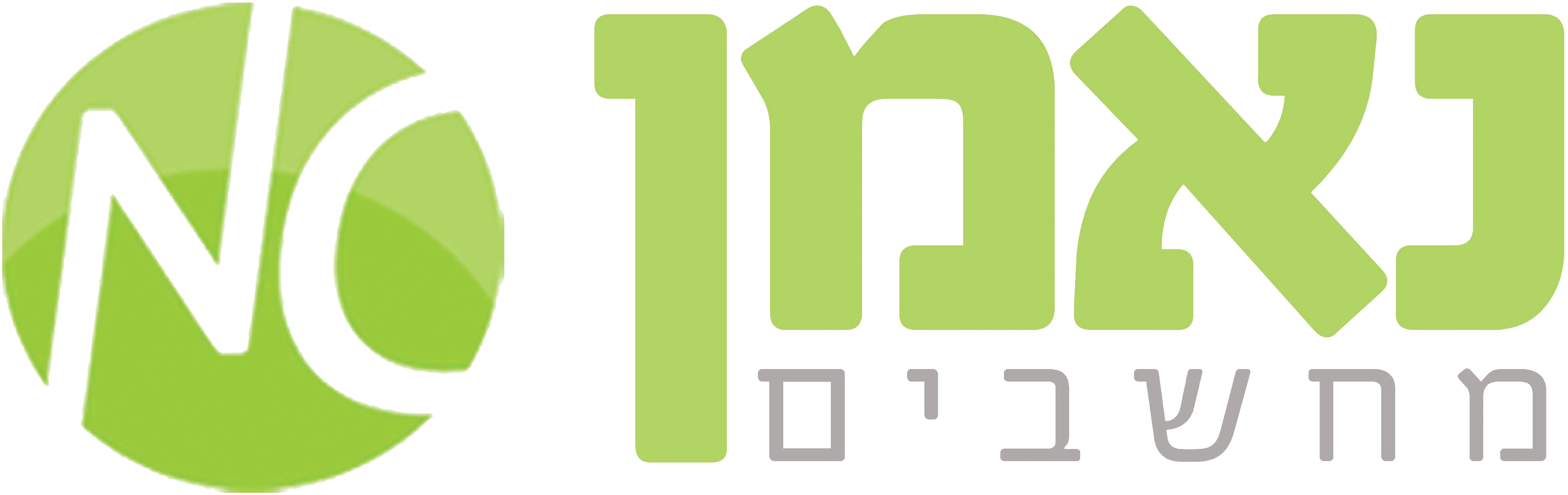 Read more about the article נאמן מחשבים